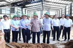 Doanh nhân Hà Văn Thắng: Người nâng việc… chăn nuôi bò lên một 'tầm cao' mới