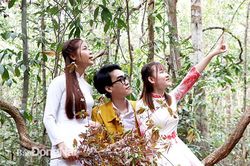 Muôn sắc hoa rừng