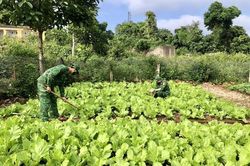 Điểm sáng về tăng gia sản xuất trên đảo tiền tiêu