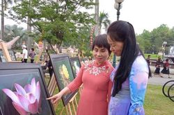 Trưng bày tôn vinh Sen trong đời sống văn hóa Việt