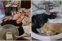 Xôn xao căn phòng cô 'tiểu thư' 18 tuổi và lời cầu cứu của ông bố: 'Thế này tôi phải sống sao?'