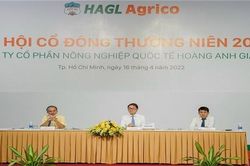 HAGL Agrico dự kiến lỗ hơn 2.700 tỷ đồng