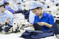 Thị trường lao động đang dần phục hồi
