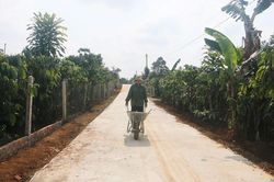 Hòa Ninh nâng cao tiêu chí giao thông trong xây dựng nông thôn mới