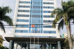 Công ty Cổ phần gia súc Lơ Pang liên tục bị xử phạt vì cố ý 'vượt rào'
