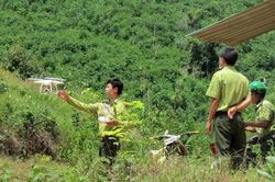 Vì sao rừng tự nhiên ở Lâm Đồng sụt giảm?