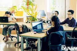 Các vườn ươm hỗ trợ sinh viên khởi nghiệp