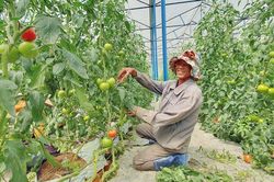 Đam Rông và bài toán ngân sách