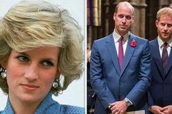 Hoàng tử Harry trả lời lạ khi được hỏi về cha và anh trai, nói gì về Công nương Diana?