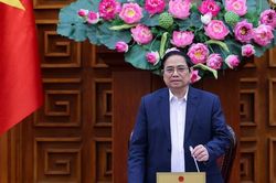 Thủ tướng Phạm Minh Chính làm việc với Liên đoàn Luật sư Việt Nam