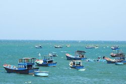 Ninh Thuận triển khai các biện pháp xử lý vụ tàu Phúc Tình 26 bị chìm