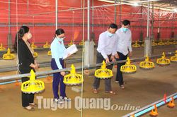 Kiểm tra, đánh giá đề tài nghiên cứu khoa học tại Yên Sơn