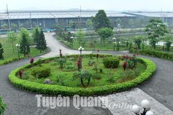 Không gian xanh trong các doanh nghiệp