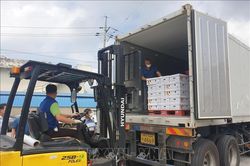 Thế giới Thế giới Tăng trưởng xuất khẩu của Hàn Quốc cho thấy nhu cầu toàn cầu phục hồi