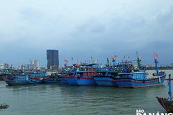 Tạm dừng thi công thí điểm để chuẩn bị nạo vét đại trà âu thuyền Thọ Quang