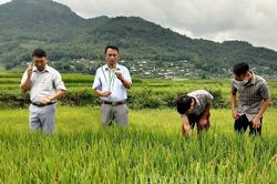 Xây dựng sản phẩm OCOP phù hợp với địa phương