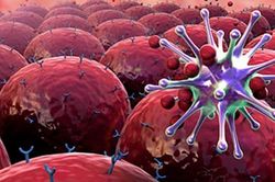 Triển vọng loại vaccine mới có thể chống lại COVID-19 nghiêm trọng ở nhóm người suy giảm miễn dịch