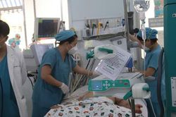 TP.HCM cảnh báo dịch sốt xuất huyết phức tạp, đã có trường hợp tử vong