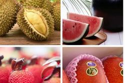 Những loại quả mùa hè đắt ngang siêu xe, chỉ nhà giàu mới dám thử