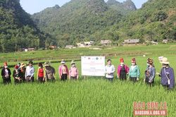 Kiểm tra các hoạt động dự án VM070 tại Thuận Châu