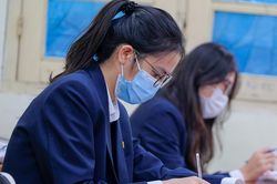 Vì thành tích, quyền lựa chọn học tập của học sinh đang bị nhà trường tước bỏ