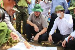 Vụ phá gần 400ha rừng: Khẩn trương điều tra, xử lý nghiêm, không có vùng cấm, ngoại lệ