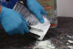 Cảnh sát Côte D'Ivoire thu giữ khối lượng cocaine kỷ lục