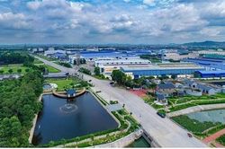Doanh nghiệp nên chuyển đổi bền vững thế nào?