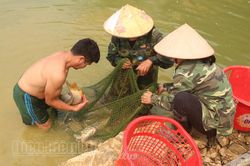 Tủa Chùa chú trọng phát triển kinh tế tập thể