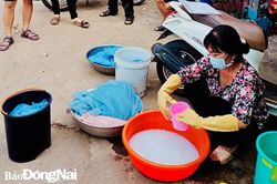 Đồng Nai tiến tới loại trừ bệnh sốt rét vào năm 2023