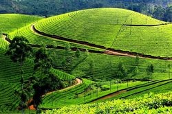Hàng không 30/4-1/5 cháy vé, dân thủ đô tìm tour trốn phố lên rừng