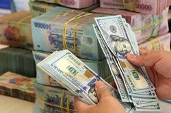 Đầu tuần, tỷ giá USD trung tâm tăng 5 đồng