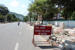 Vũng Tàu chặt hạ, di dời nhiều cây xanh hàng chục năm tuổi để làm nơi đậu xe
