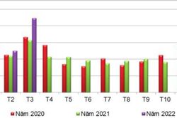 Xuất khẩu sắn vẫn phụ thuộc 90% vào thị trường Trung Quốc