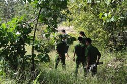 Truy bắt nghi phạm đâm người trọng thương