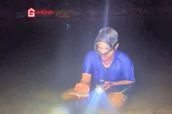 Xuyên đêm theo chân thợ săn cá mát, đặc sản vùng núi Quảng Trị