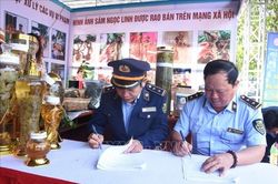 Bảo vệ thương hiệu sâm Ngọc Linh