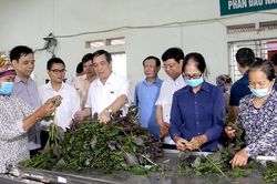 Giám sát thực hiện các quy định pháp luật, chính sách về đầu tư, phát triển nông nghiệp, nông thôn tại huyện Lâm Thao