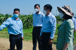 Đoàn đại biểu Quốc hội Bình Thuận và cây thanh long!