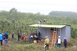 Đắk Glong (Đắk Nông): Xử lý nghiêm nạn phá rừng và lấn chiếm đất rừng
