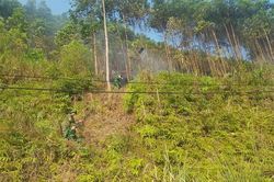 Đồn Biên phòng Pò Mã giúp dân chữa cháy rừng