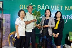 Kon Tum: Củ sâm có giá trị 'khủng' 115 triệu đồng chỉ nặng 1,8 lượng