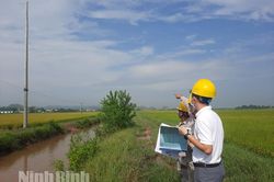 Công ty Điện lực Ninh Bình nỗ lực hoàn thành dự án DPL3