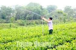 Ứng dụng cơ giới hóa vào sản xuất nông nghiệp