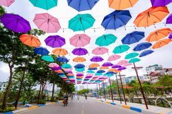 Phố đi bộ ở Hà Nội rực rỡ với hàng trăm chiếc ô trước ngày mở cửa trở lại