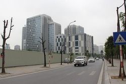Hà Nội: Xót xa hàng chục cây xanh chết khô trên đường Trương Công Giai