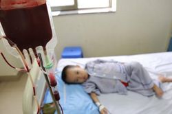 Ai cũng có thể mang gene bệnh Thalassemia