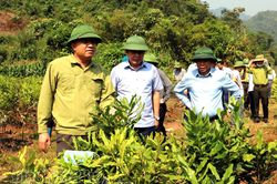 Mường Nhé cần đảm bảo tiến độ một số chương trình, dự án