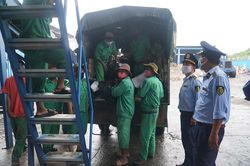 Ninh Thuận tiêu hủy hơn 35 nghìn bao thuốc lá nhập lậu, thuốc lá giả
