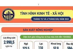 Chỉ số giá tiêu dùng tháng 4 chỉ tăng 0,18% so với tháng trước